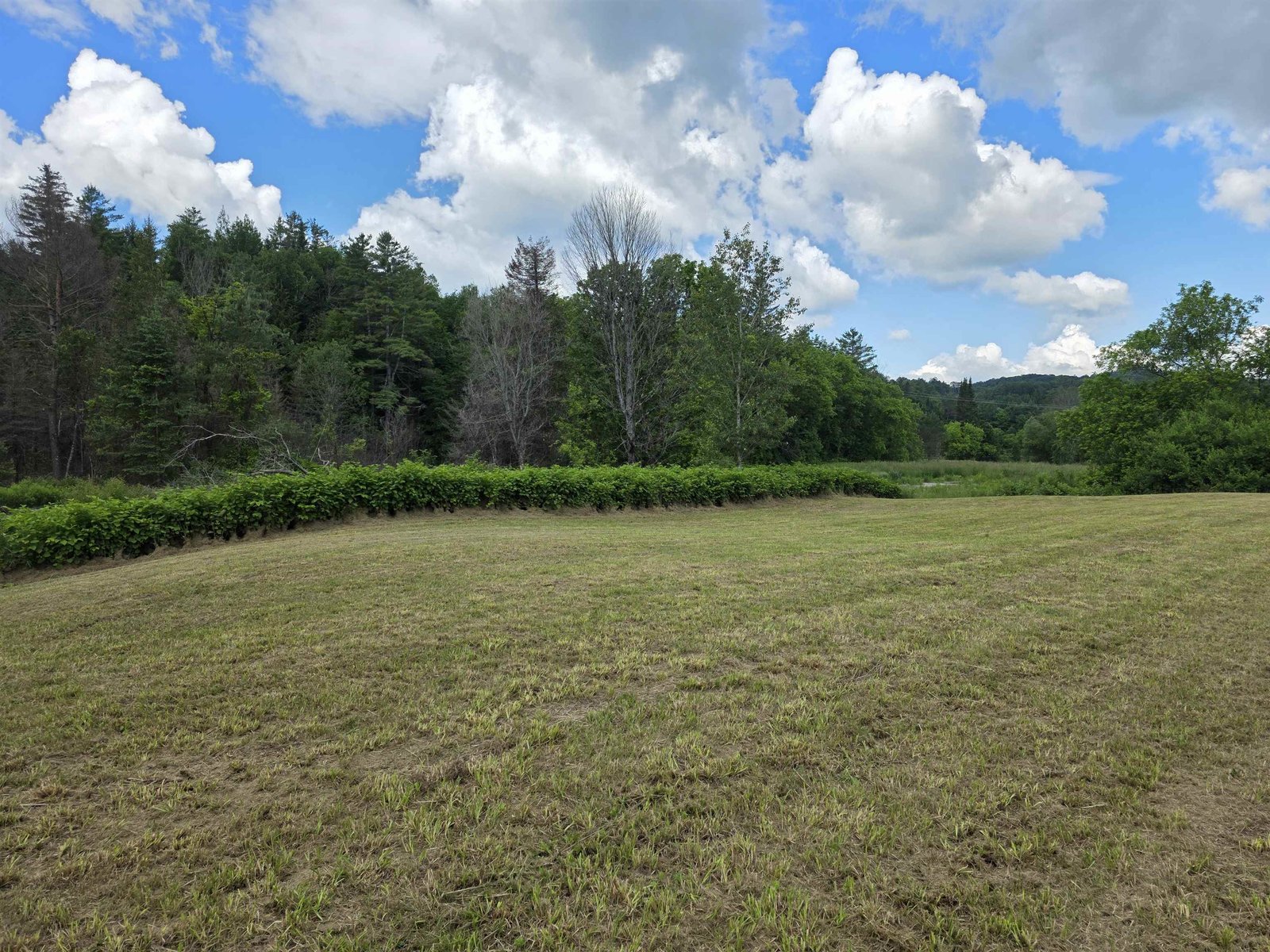 1385 Red Village Road