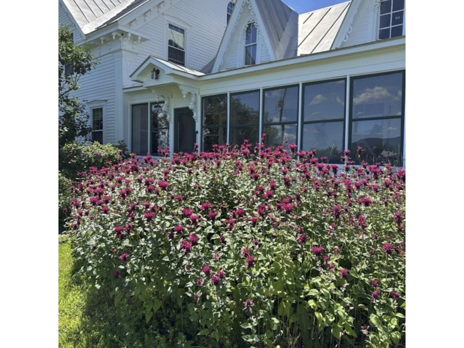 1388 Taylor Farm Road