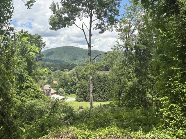 13s Mountain View Drive