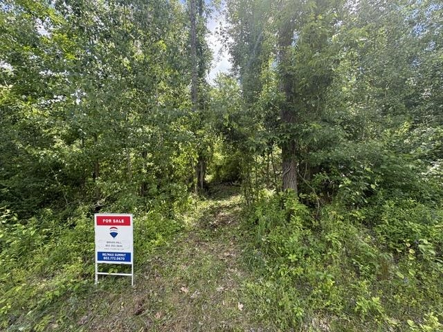 13s Mountain View Drive