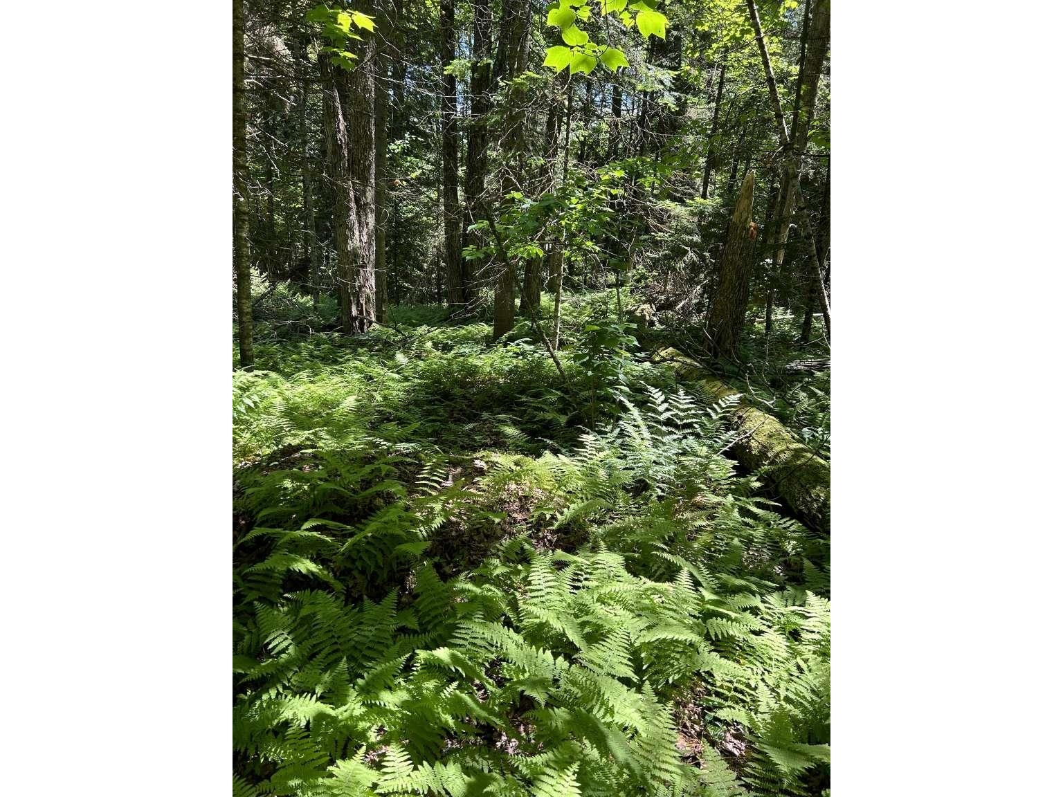 14 East Bear Swamp Road