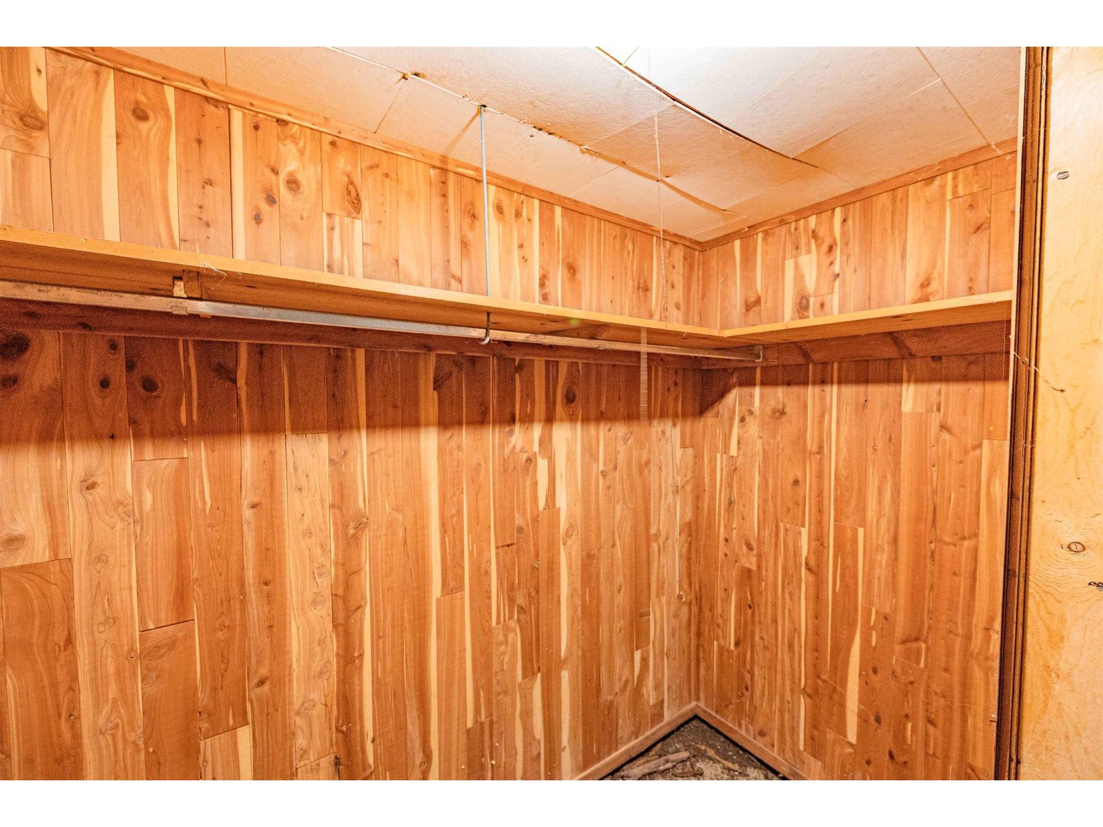 Cedar lined closet in basement