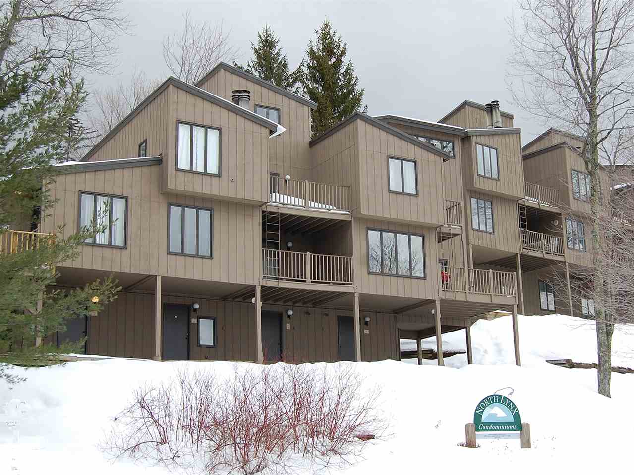 14 North Lynx