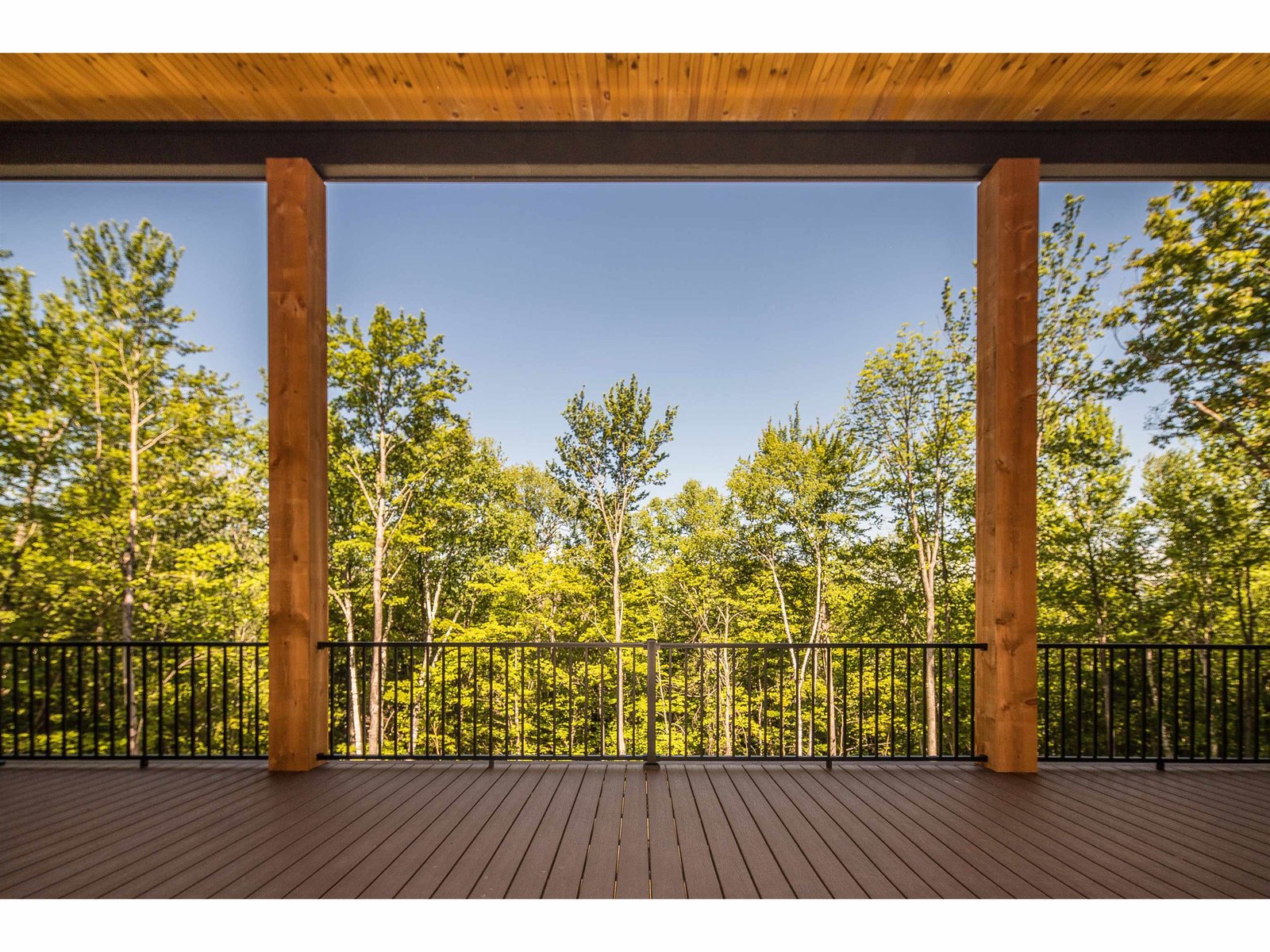 Lovely deck within the tree canopy