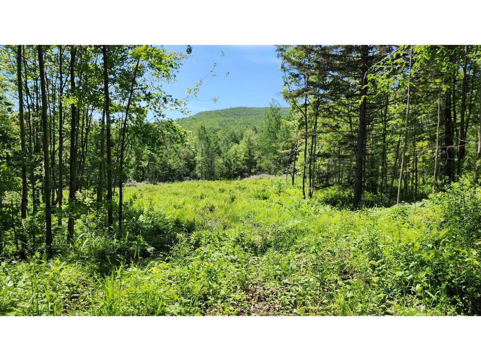 1400 Clark Mountain Road