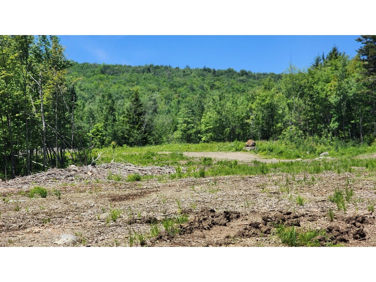 1400 Clark Mountain Road