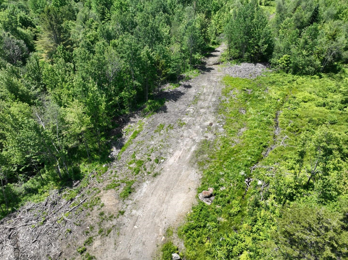 1400 Clark Mountain Road