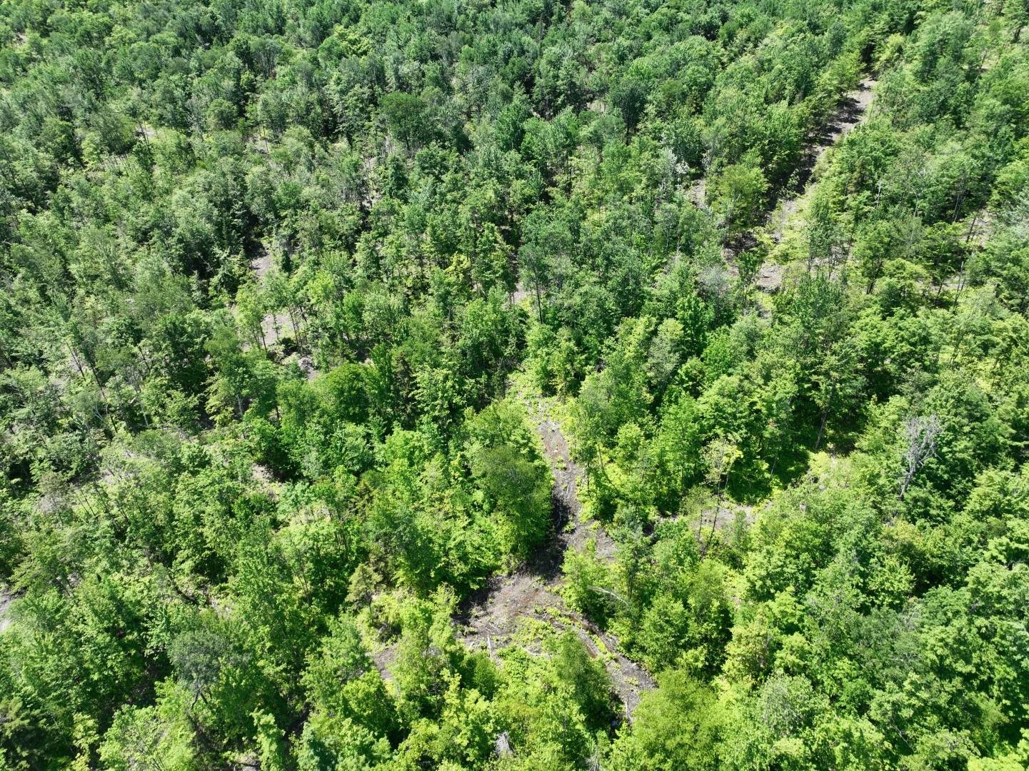 1400 Clark Mountain Road