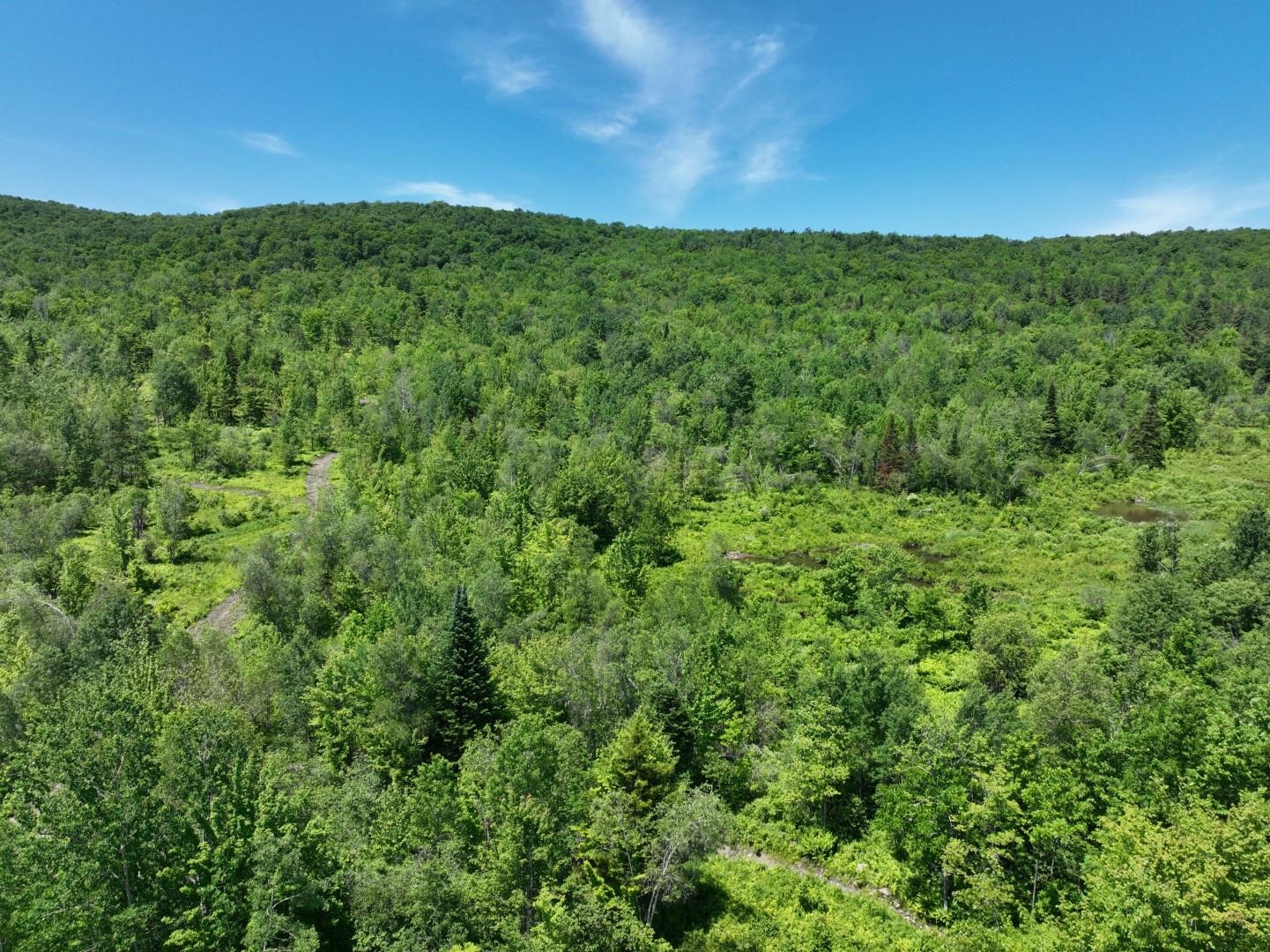 1400 Clark Mountain Road