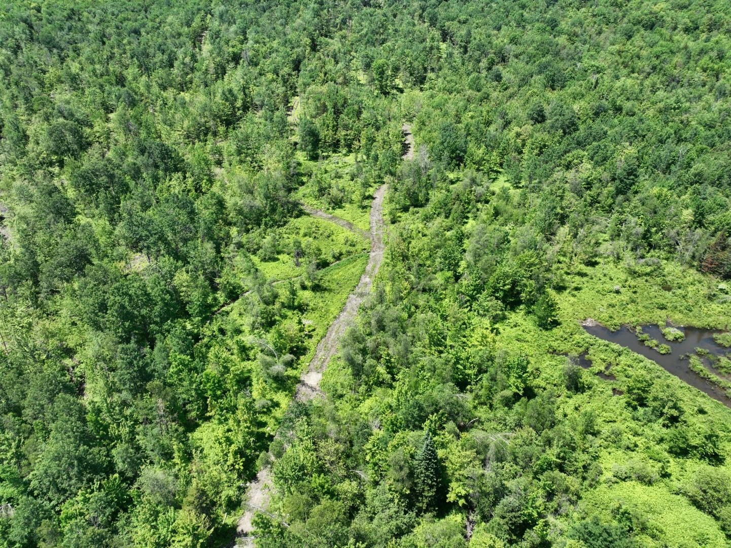 1400 Clark Mountain Road