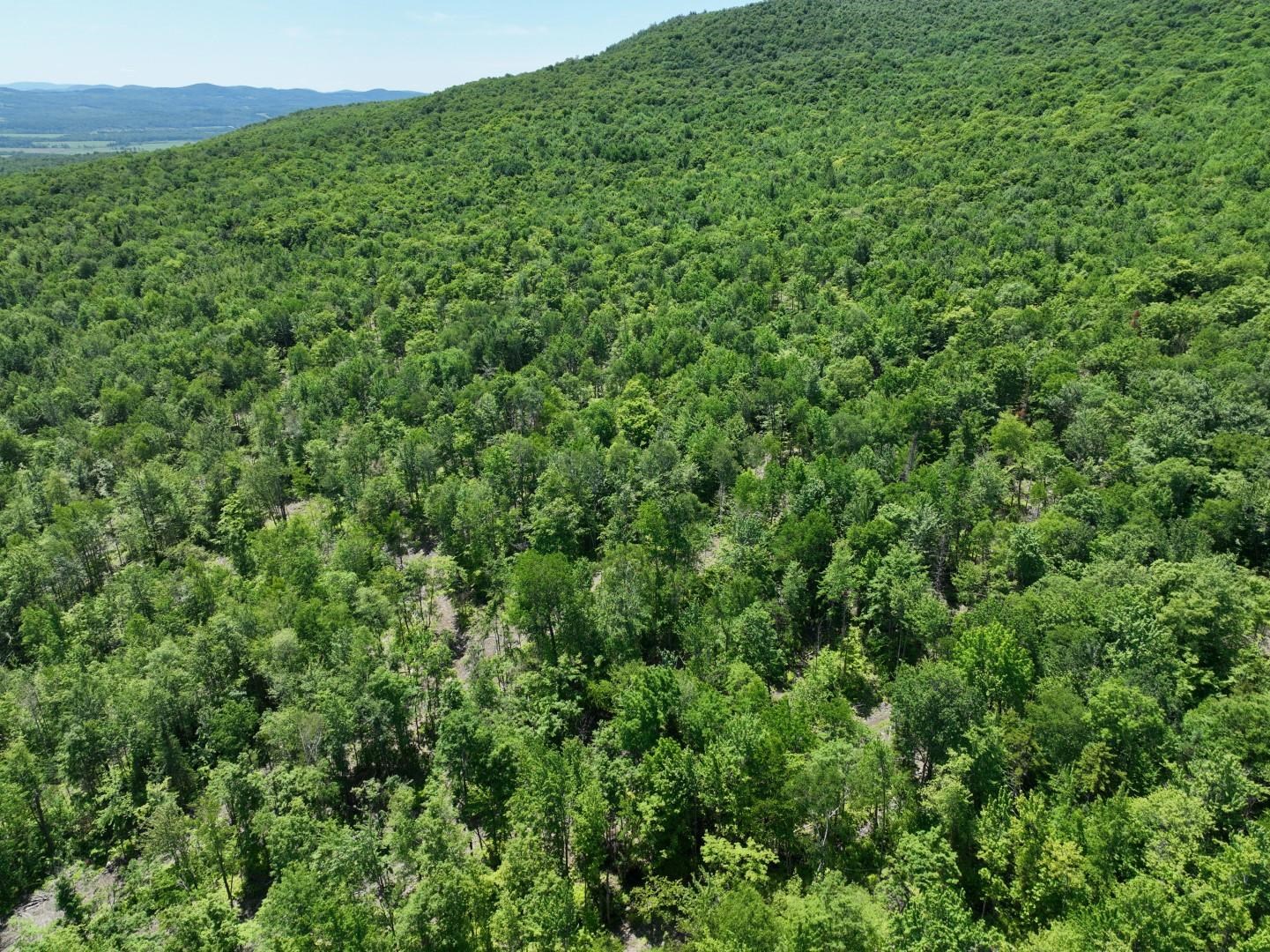 1400 Clark Mountain Road