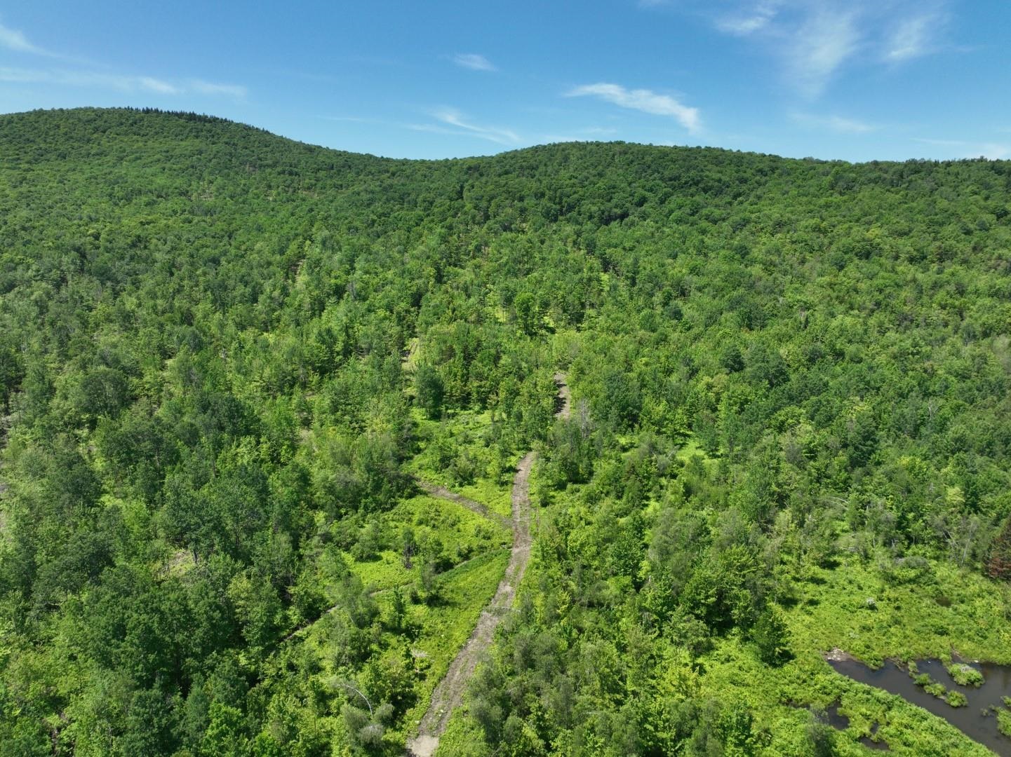 1400 Clark Mountain Road