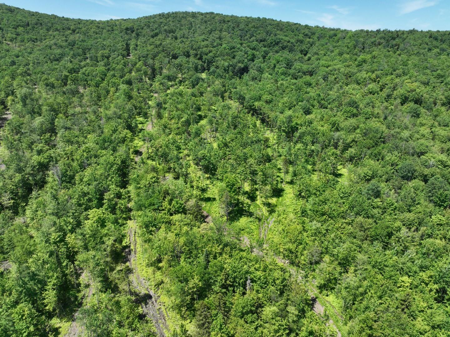 1400 Clark Mountain Road
