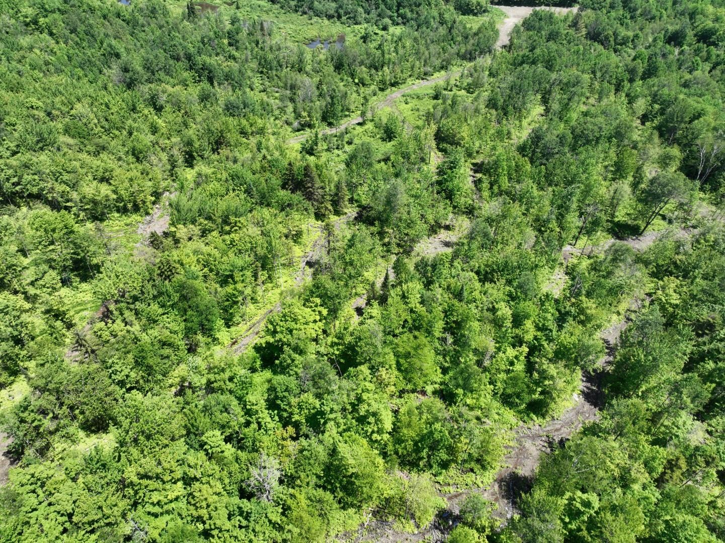 1400 Clark Mountain Road