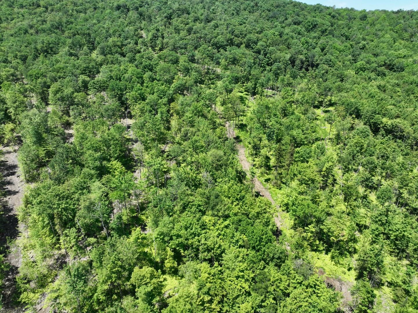 1400 Clark Mountain Road