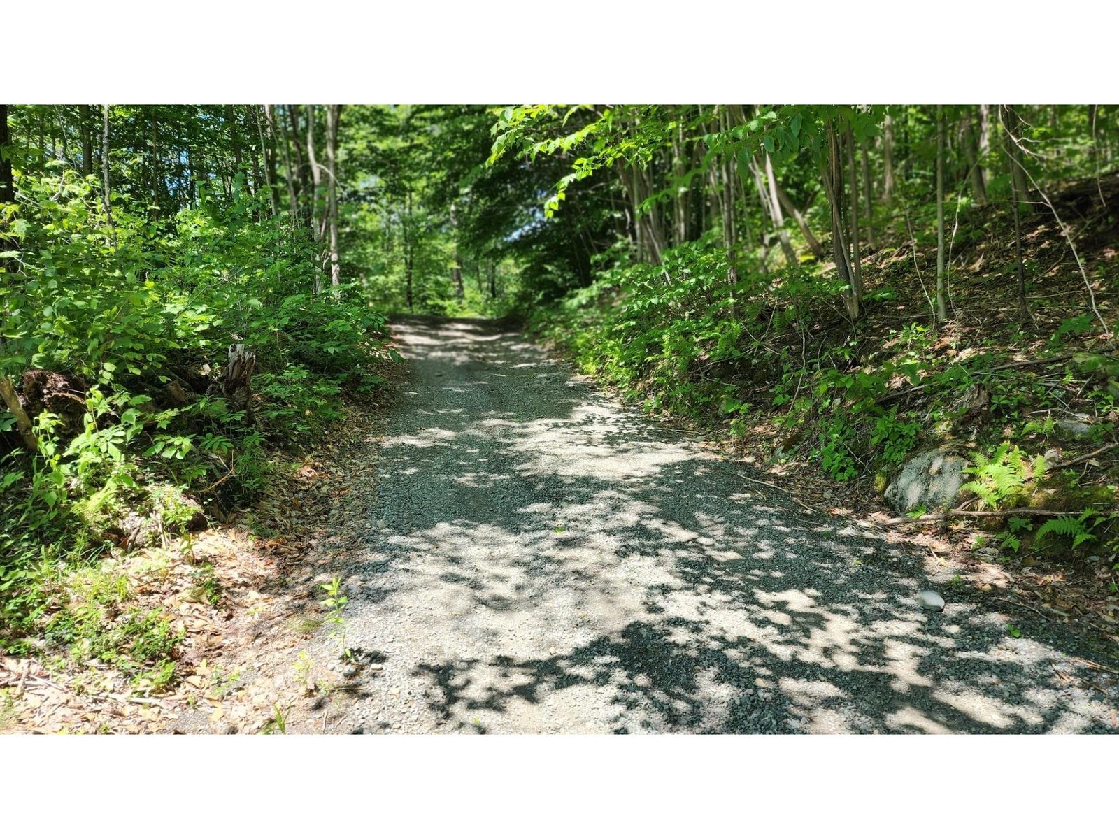 1400 Clark Mountain Road