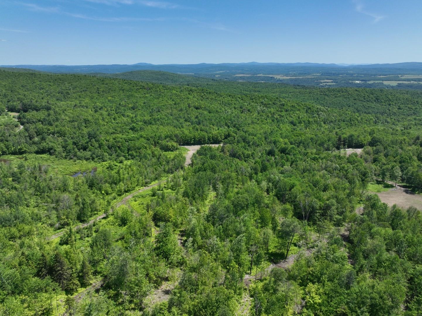 1400 Clark Mountain Road