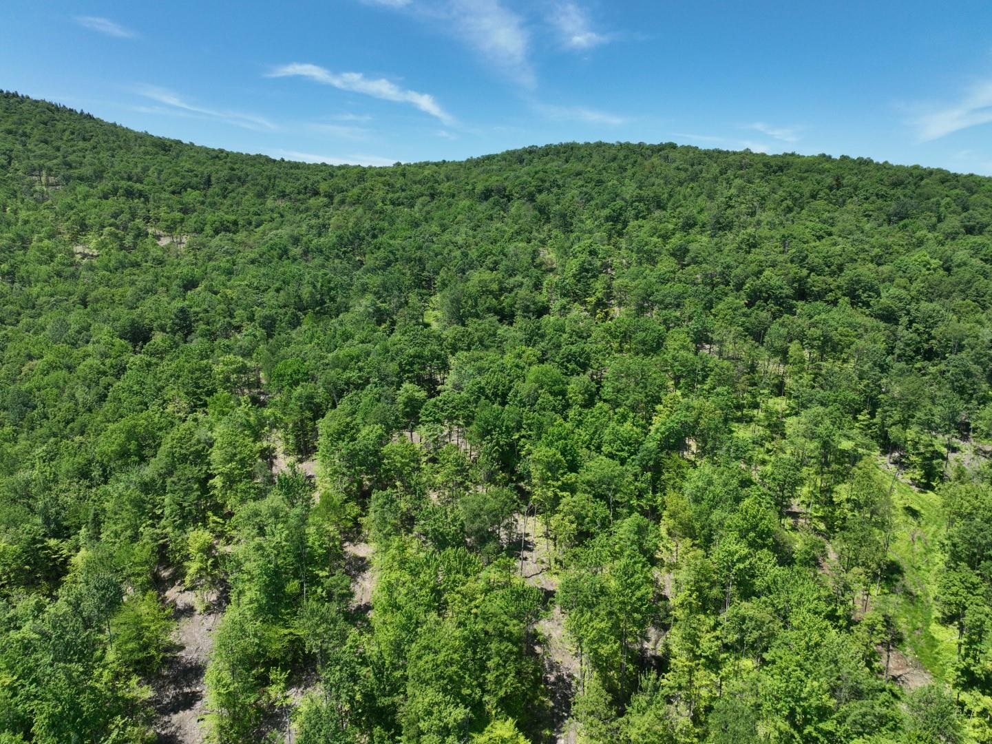 1400 Clark Mountain Road