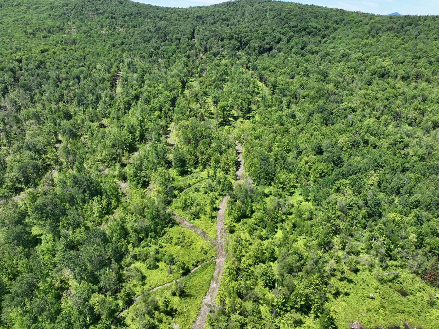 1400 Clark Mountain Road