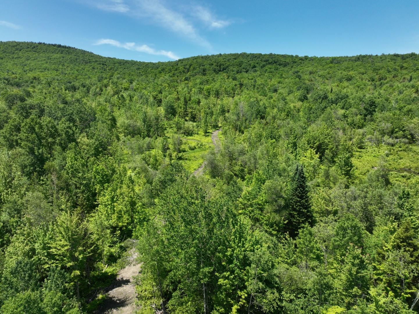 1400 Clark Mountain Road