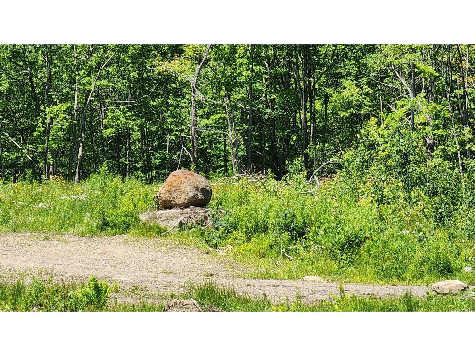 1400 Clark Mountain Road