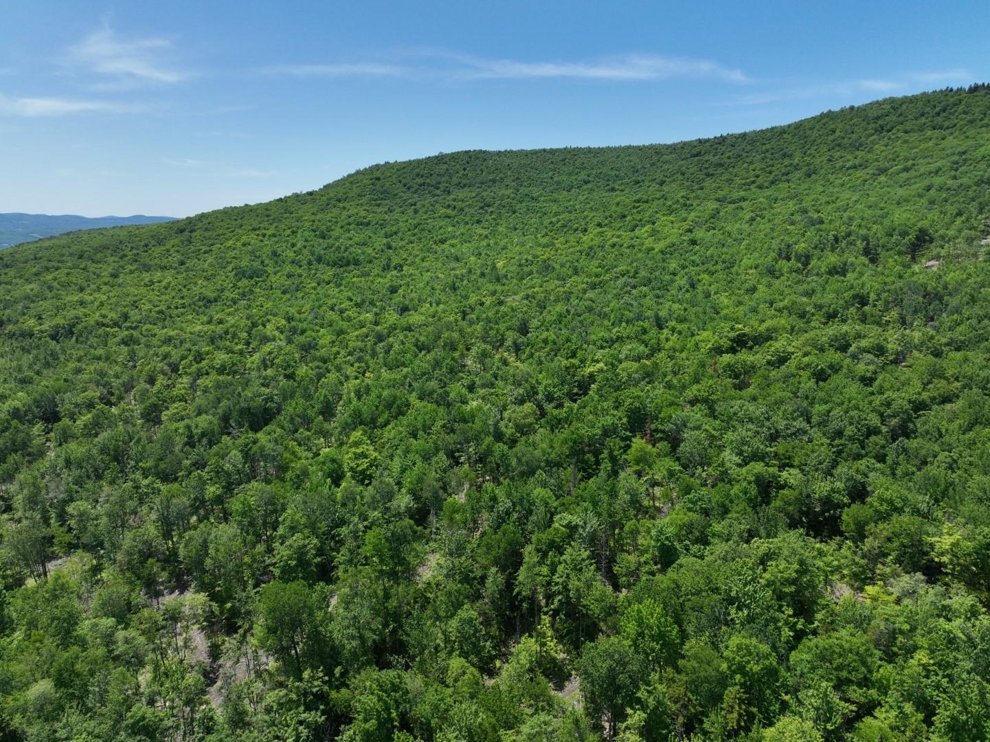 1400 Clark Mountain Road