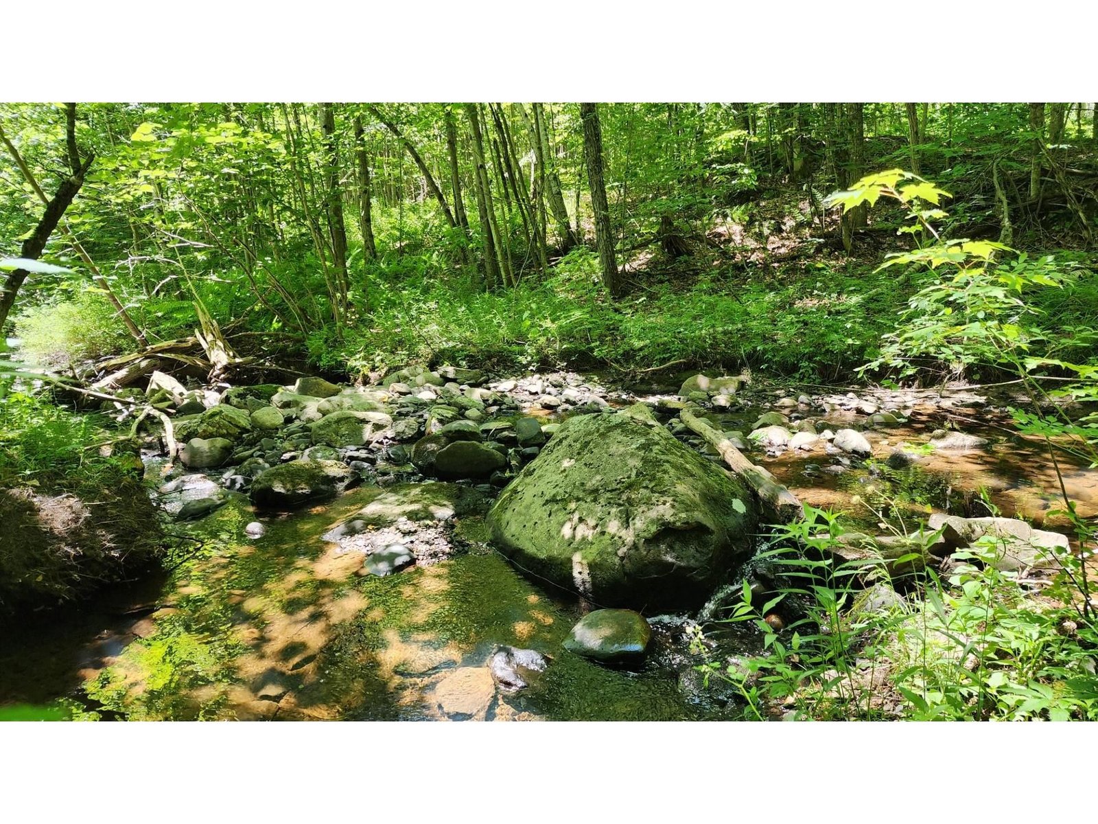 1400 Clark Mountain Road