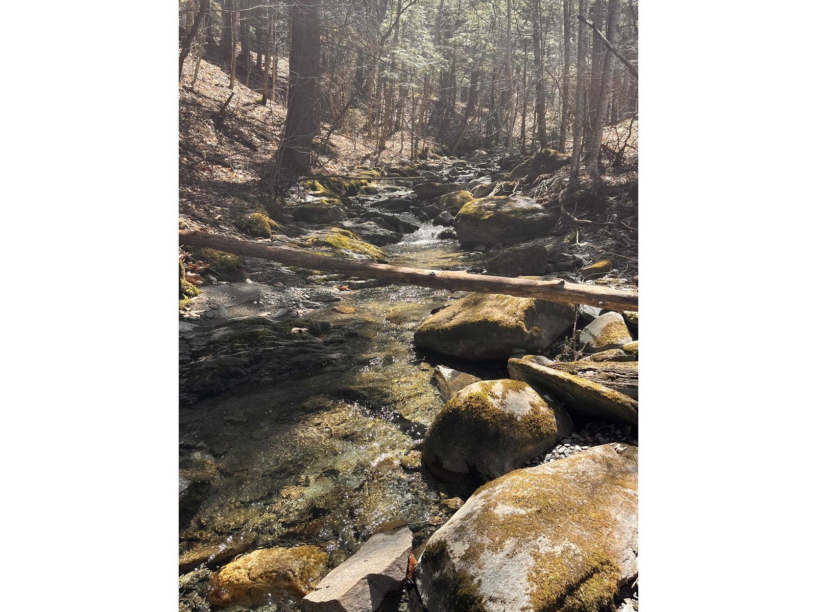1407 Moretown Mountain Road