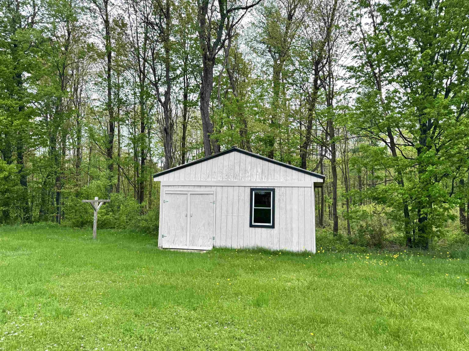 Shed