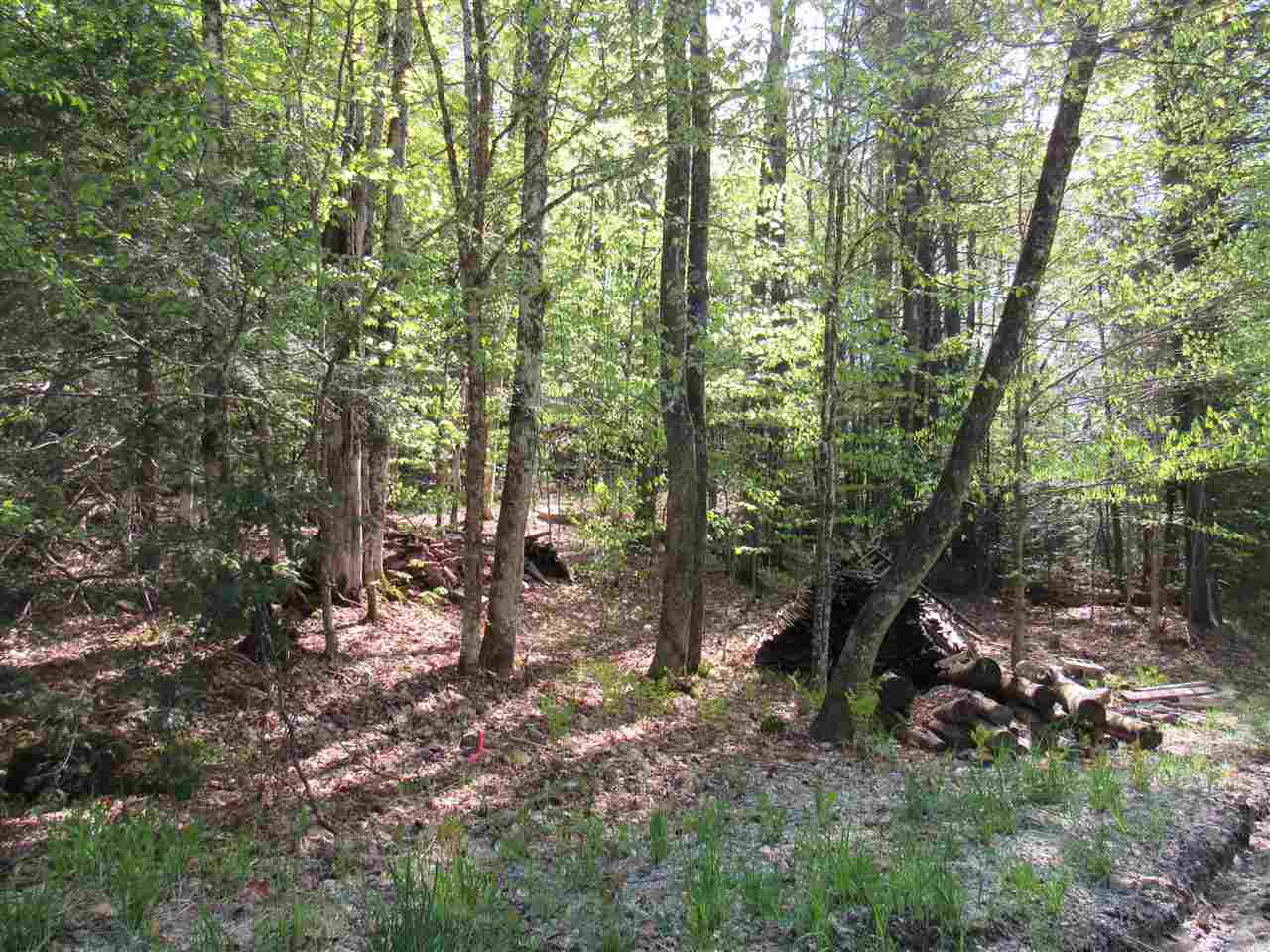 1410 Stevens Brook Road