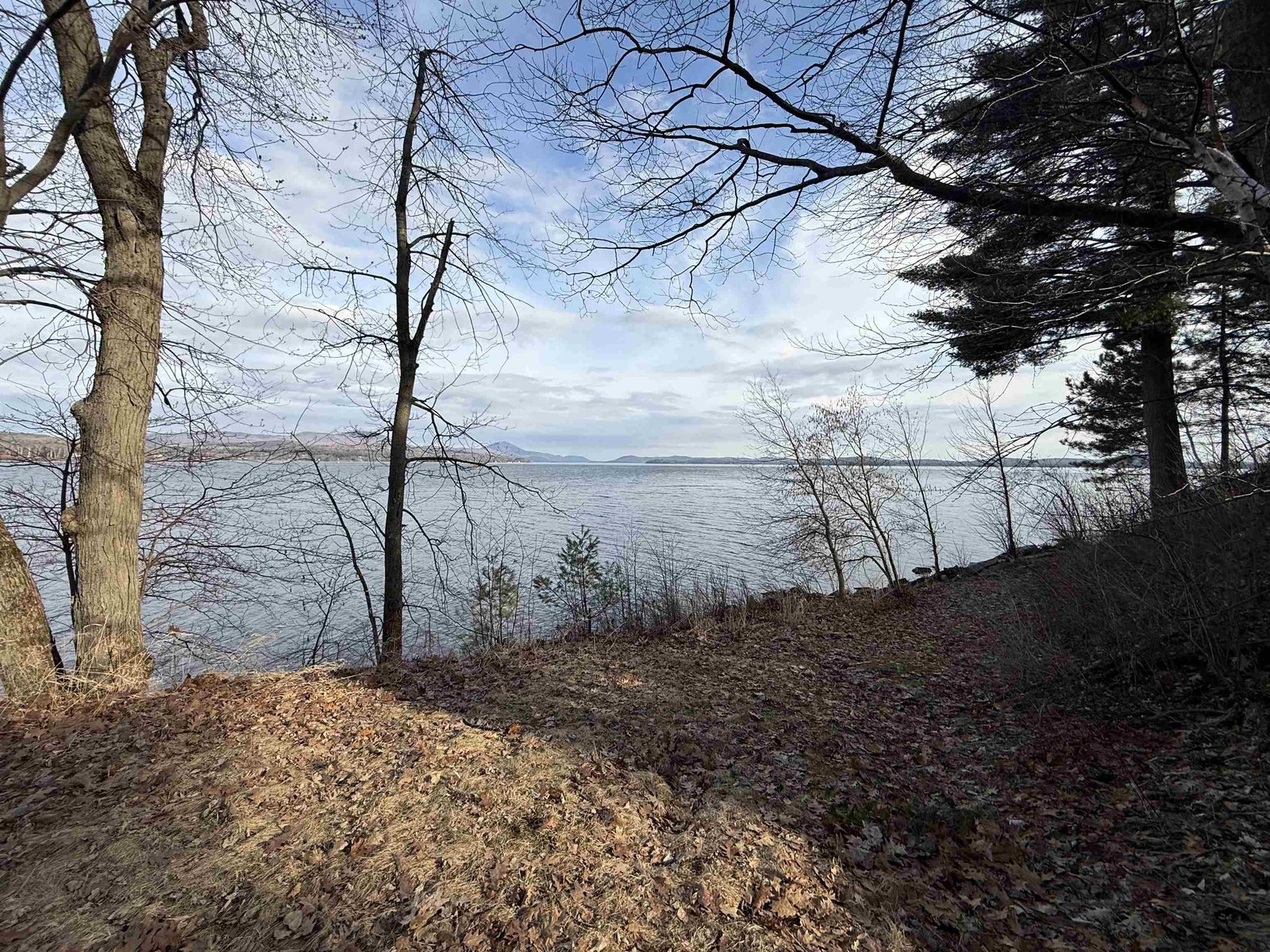 1413 Bluff Road