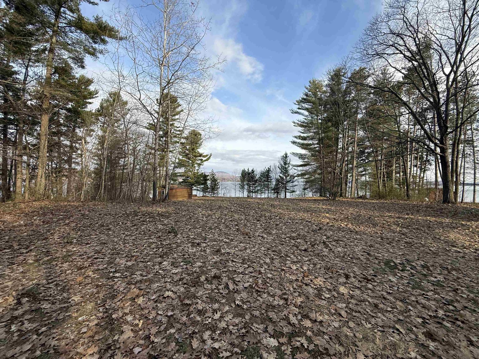 1413 Bluff Road