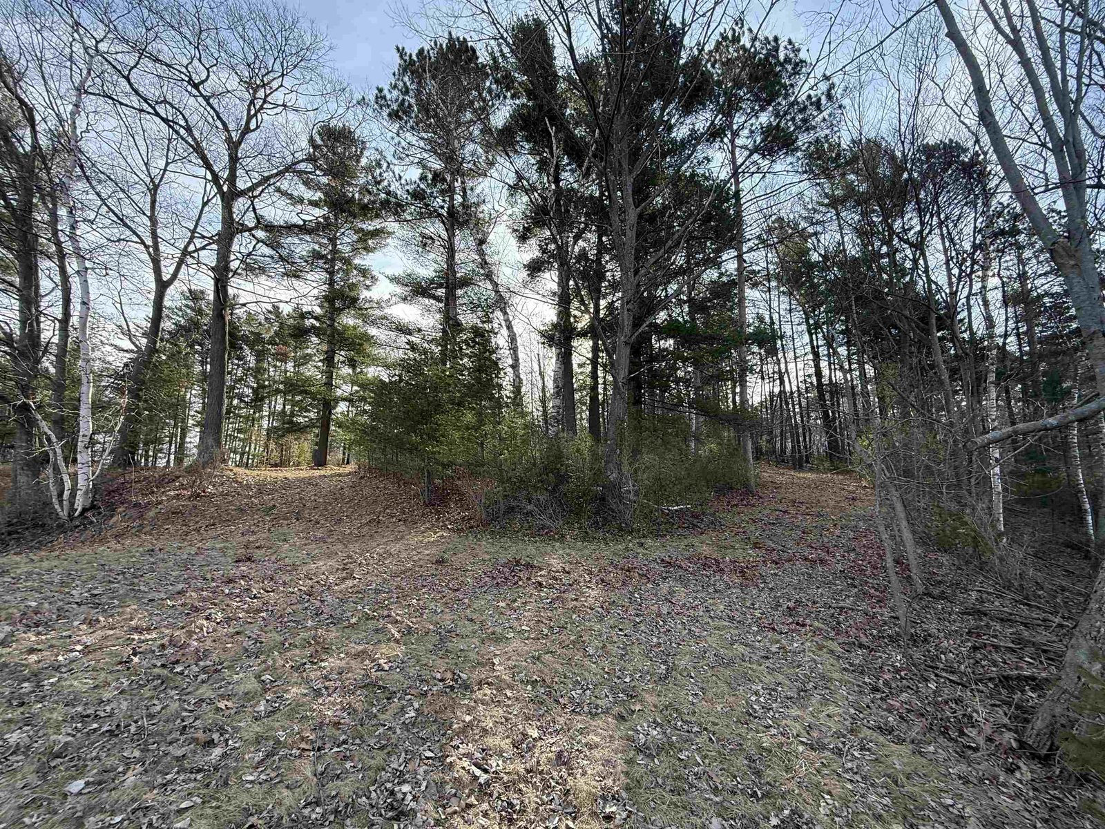 1413 Bluff Road