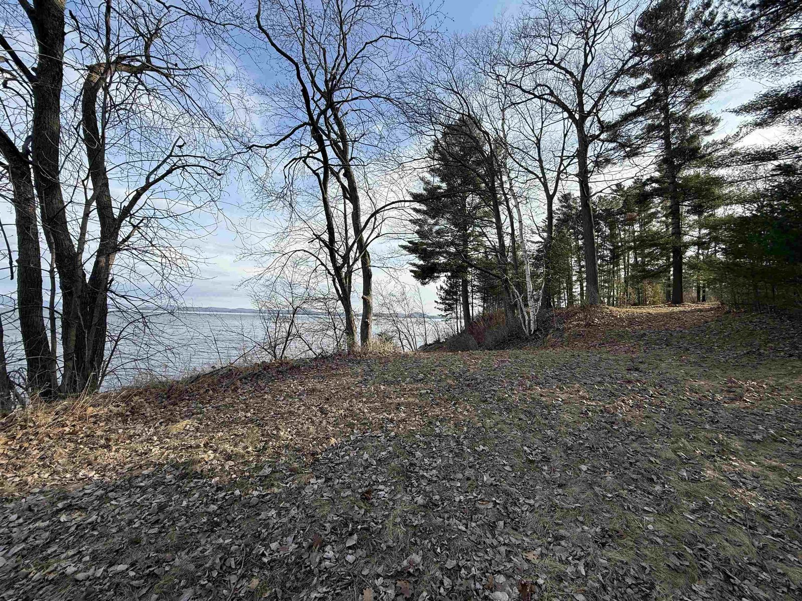 1413 Bluff Road
