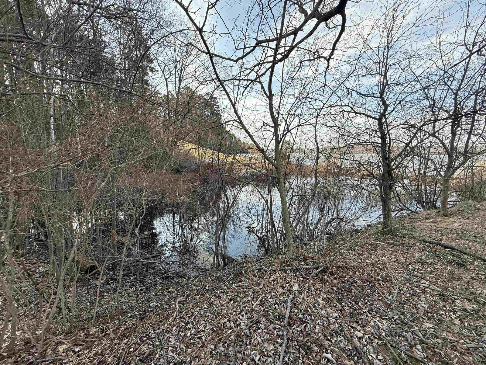 1413 Bluff Road