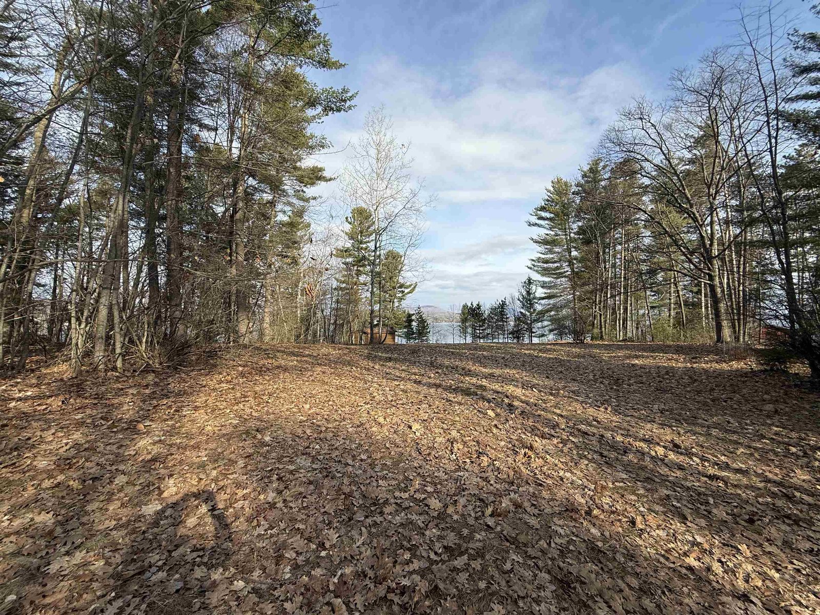 1413 Bluff Road