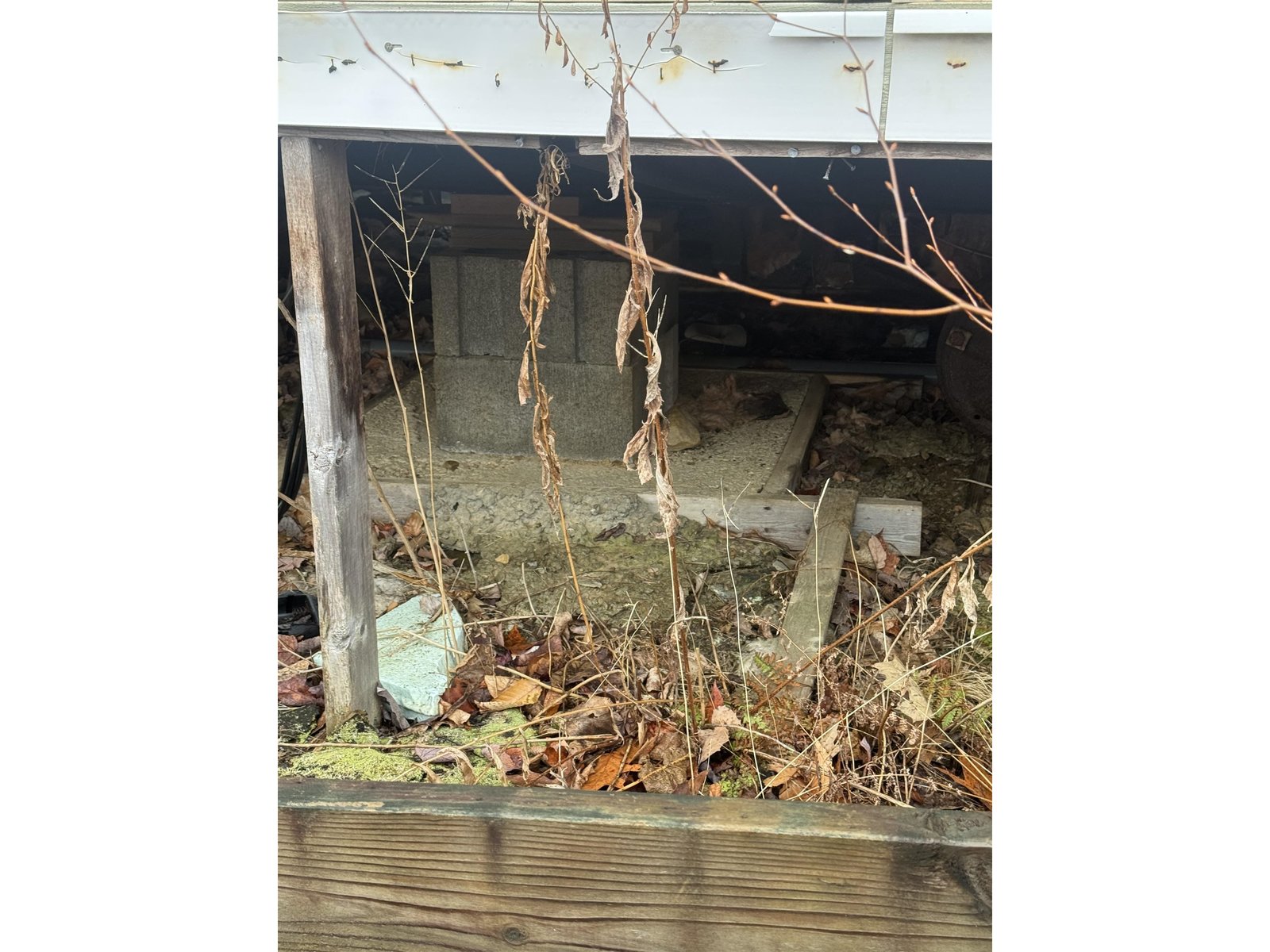 1413 Lake Dunmore Road