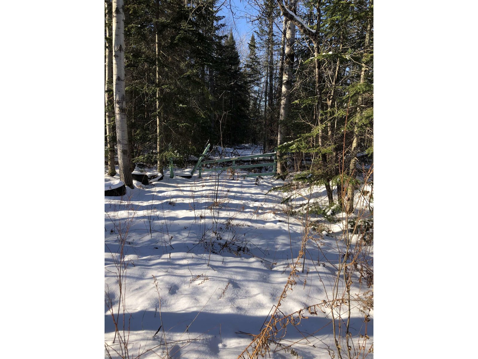 1414 Collins Mill Road