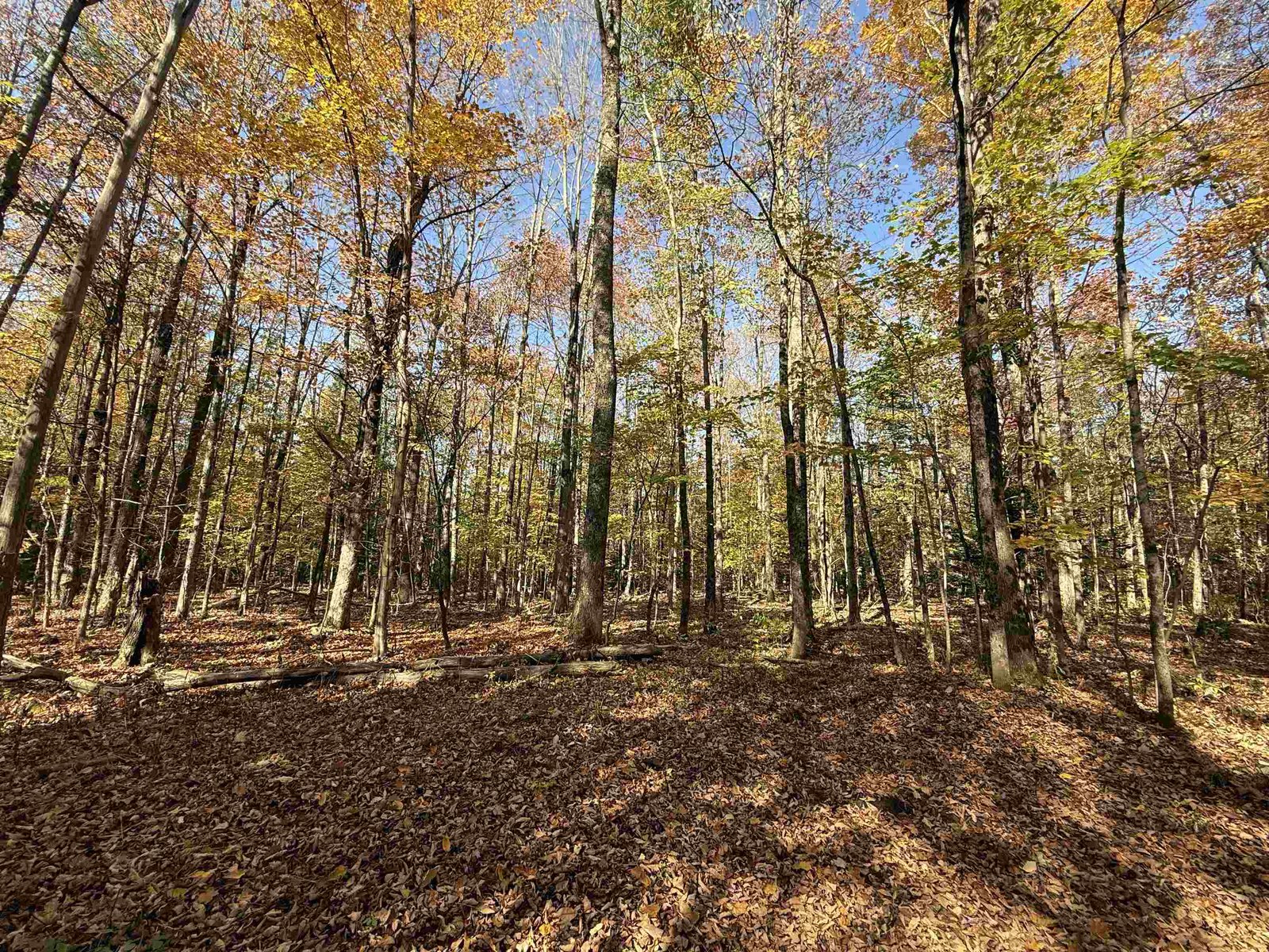 1414 Collins Mill Road, Newport Town