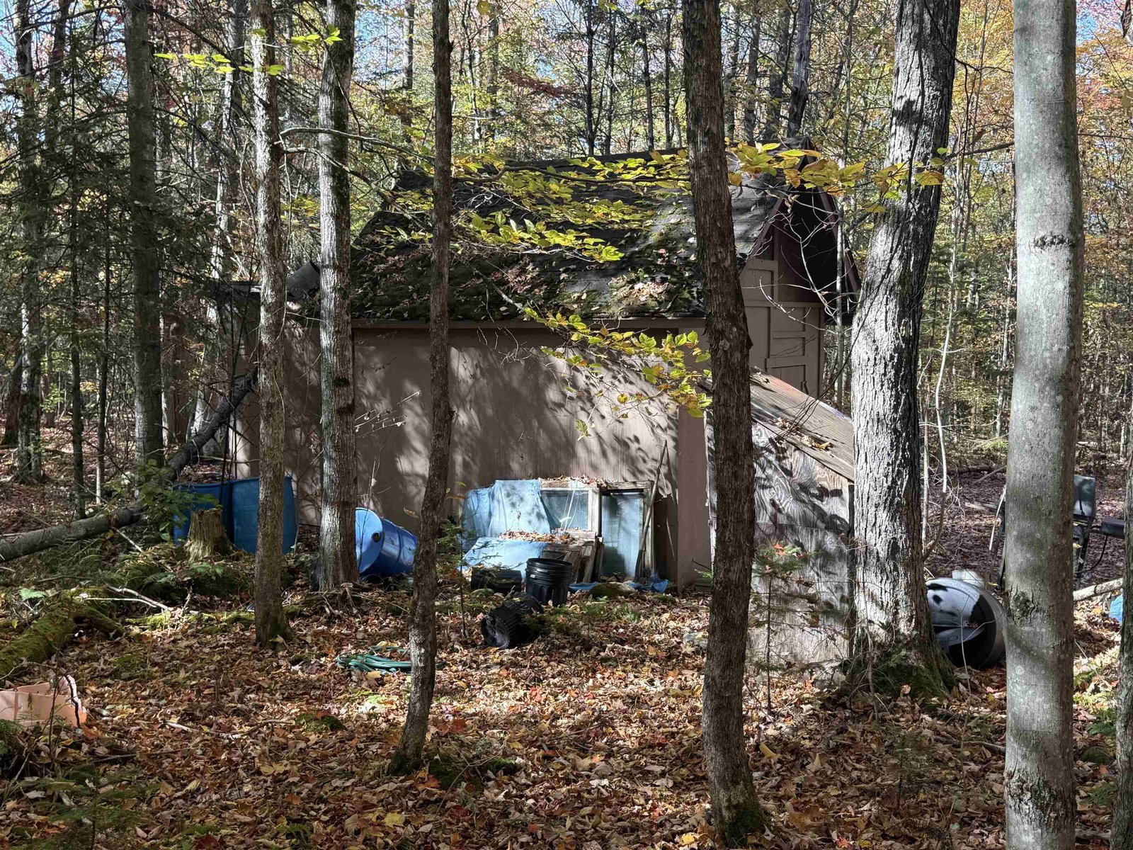 1414 Collins Mill Road