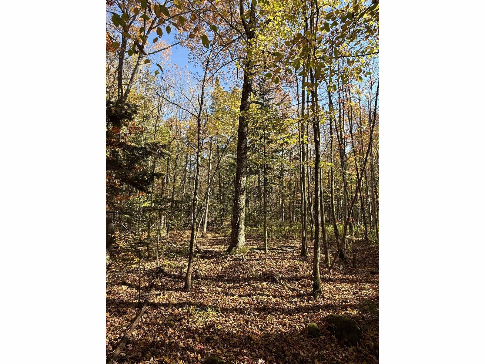 1414 Collins Mill Road