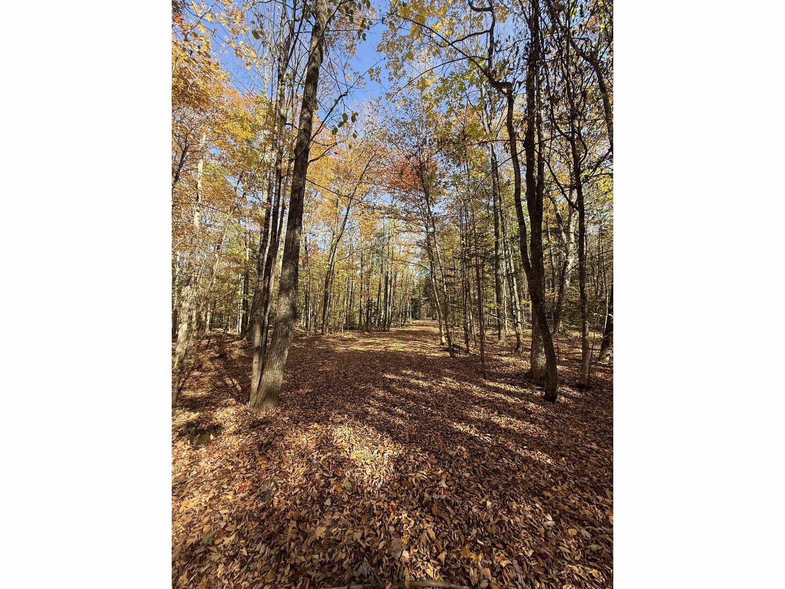 1414 Collins Mill Road