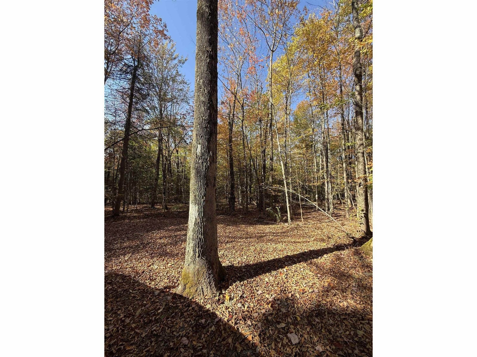 1414 Collins Mill Road