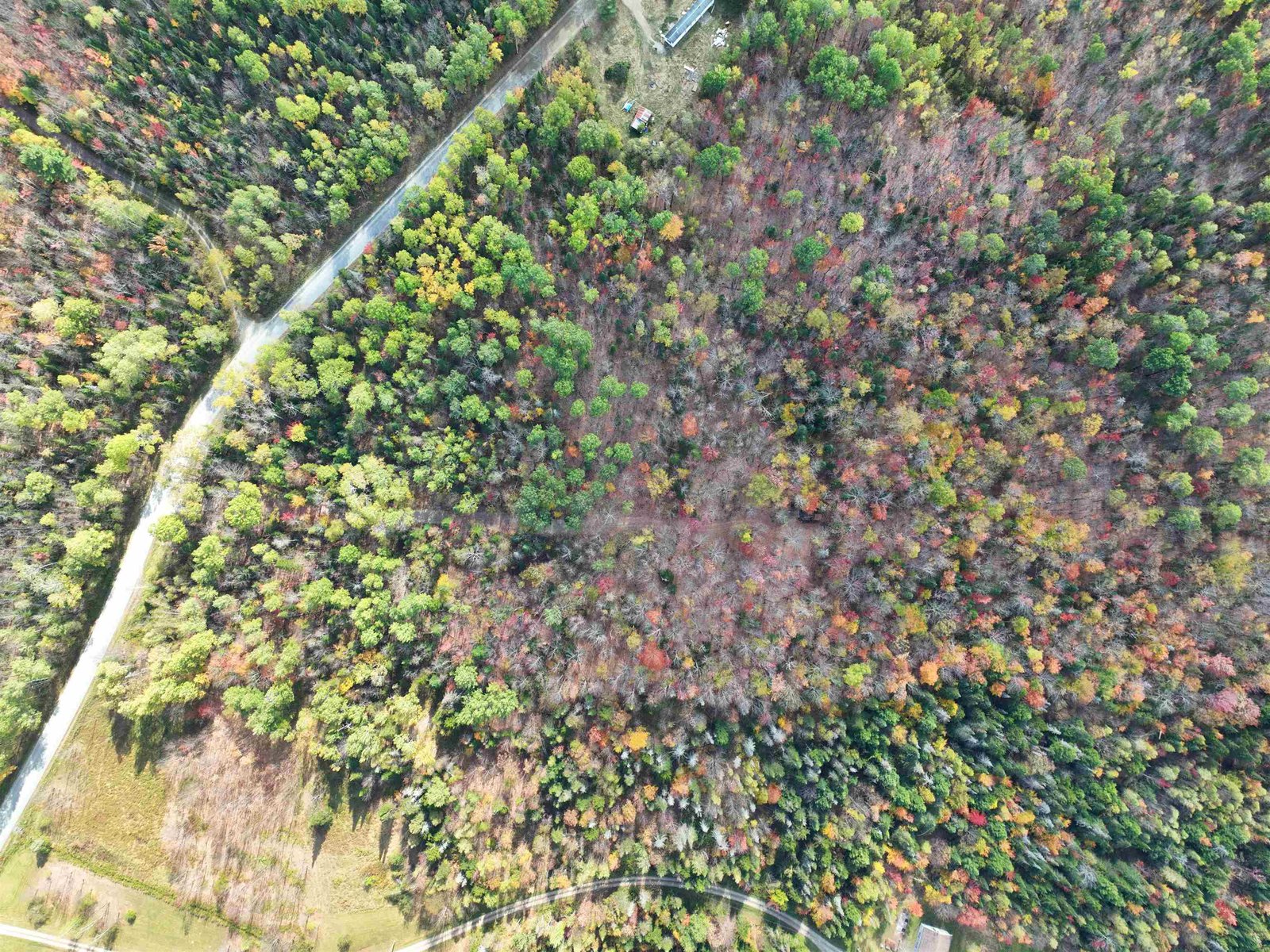 1414 Collins Mill Road
