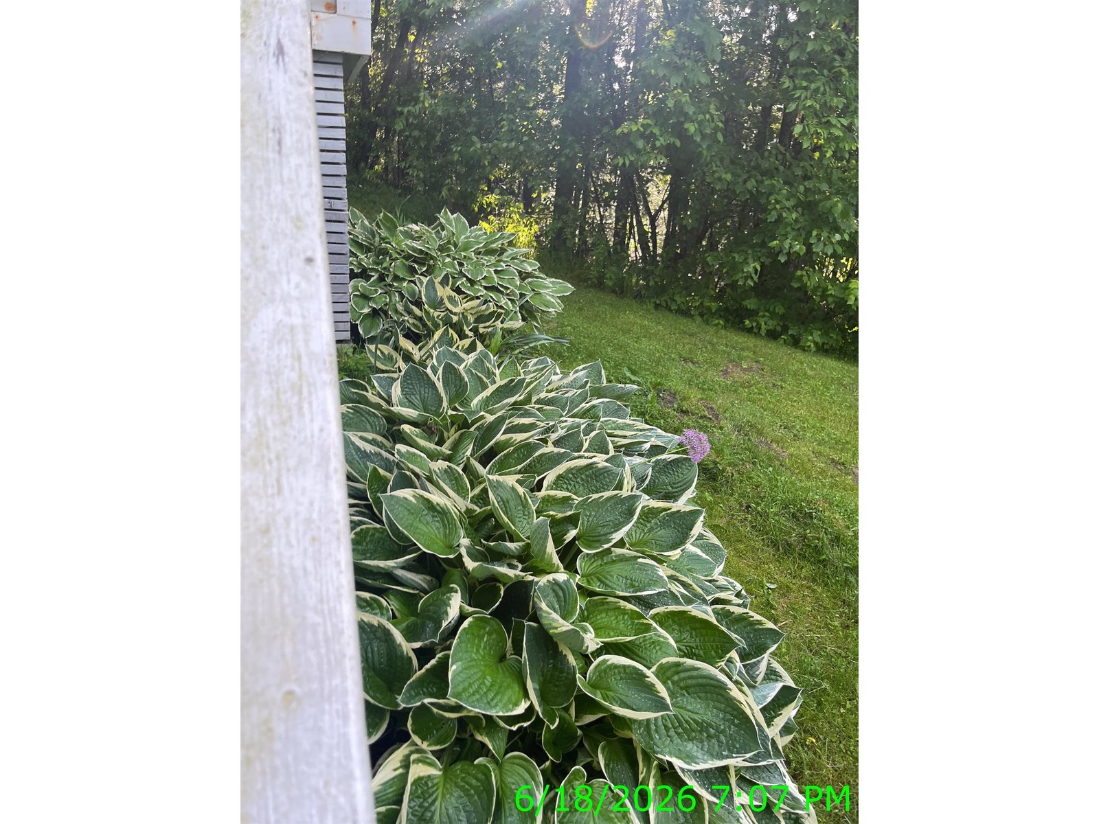 142 Folsom Hill Road