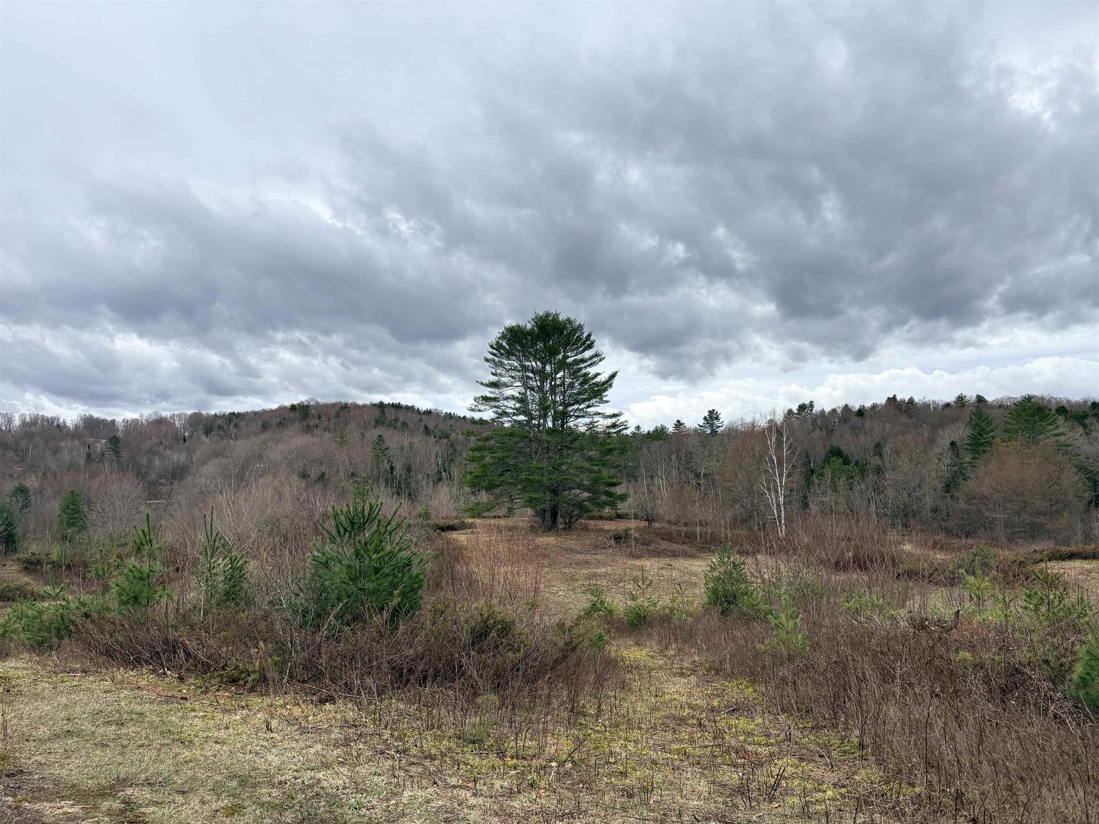 142 King Pond Road