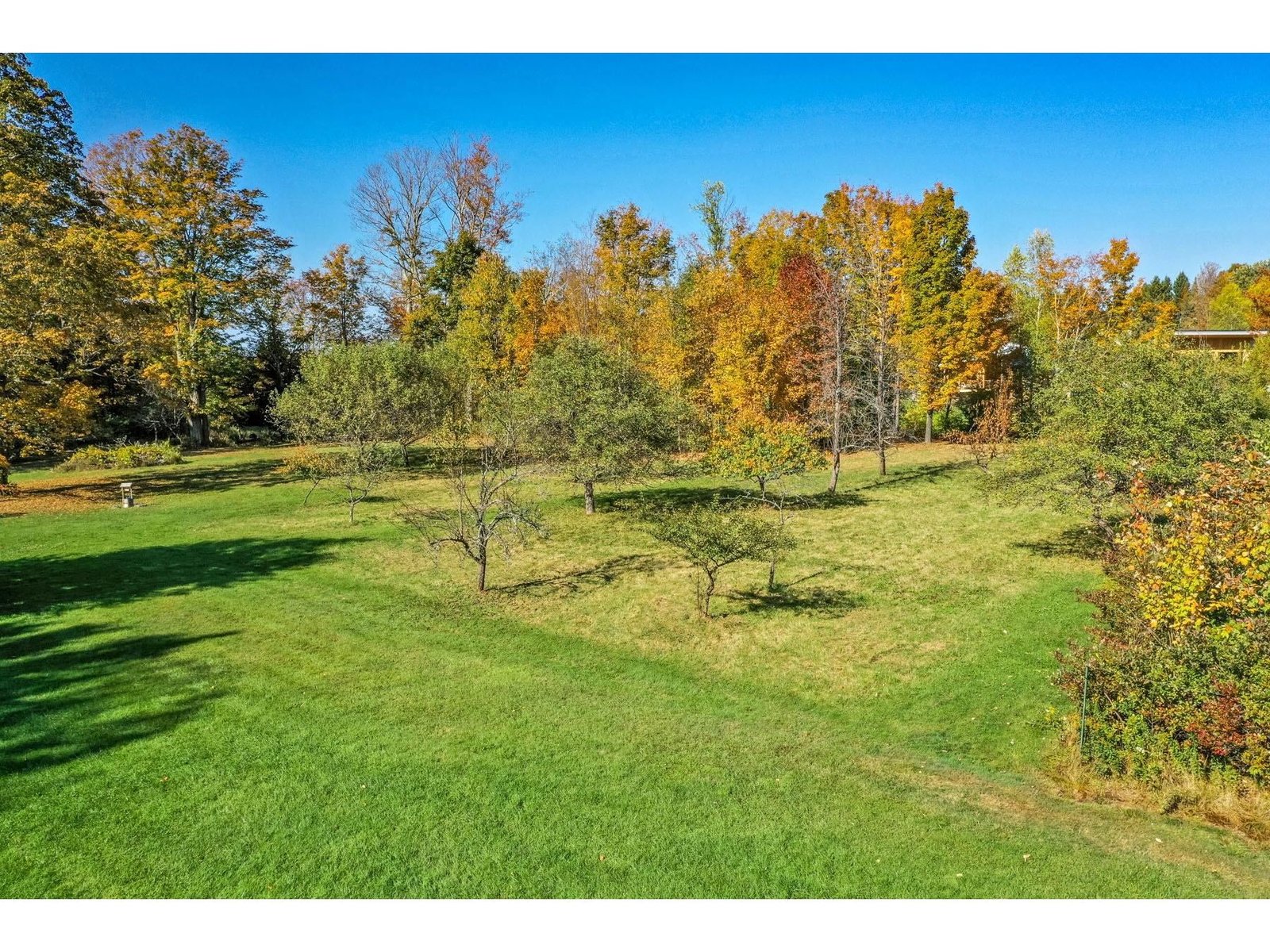 Big yard