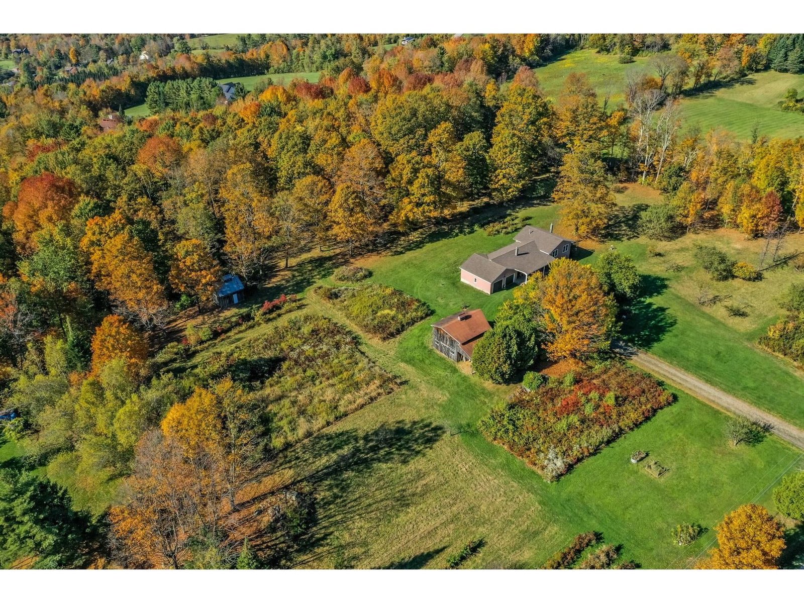 More views of the berry farm