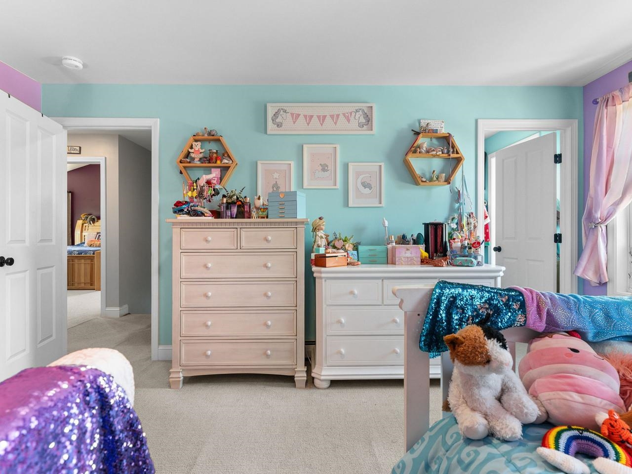 Walk-in closet in 2nd bedroom