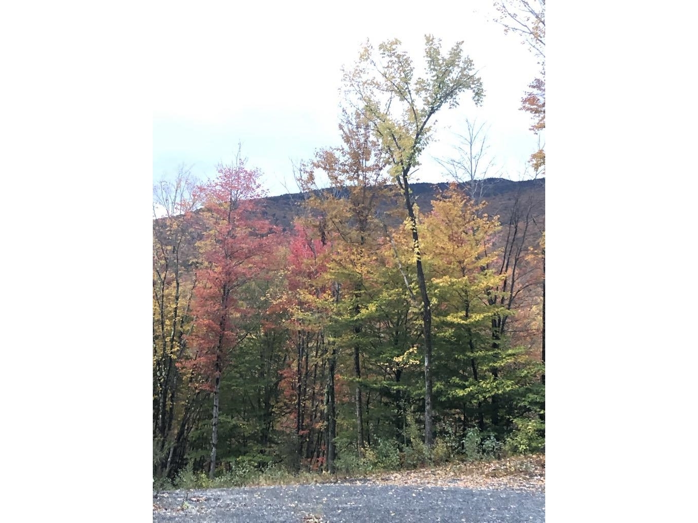 1430 back Road